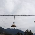 Photo pendant lamp