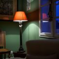 Photo floor lamp